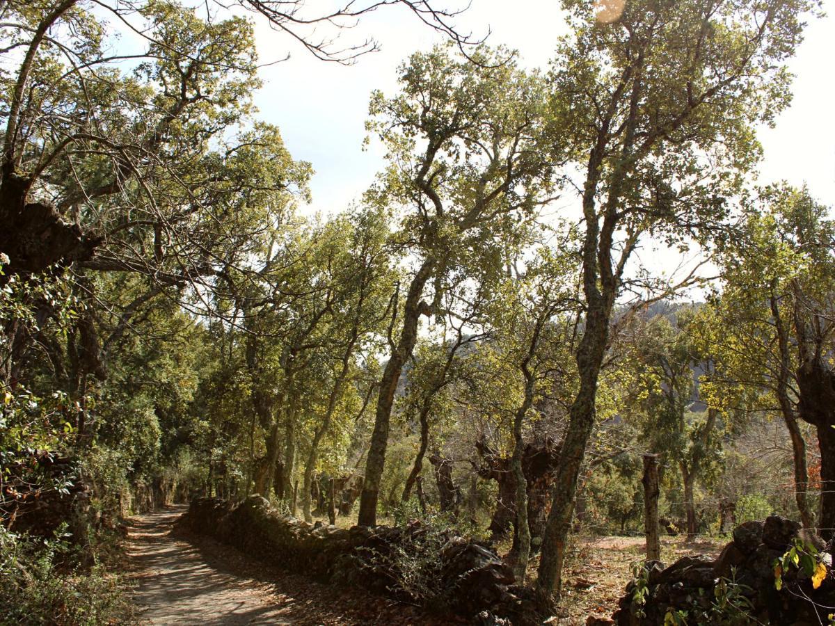 El Rincon De Marcelino Konuk evi Cortelazor Dış mekan fotoğraf